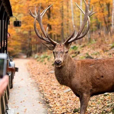 Hotel Au Sommet De La Cascade