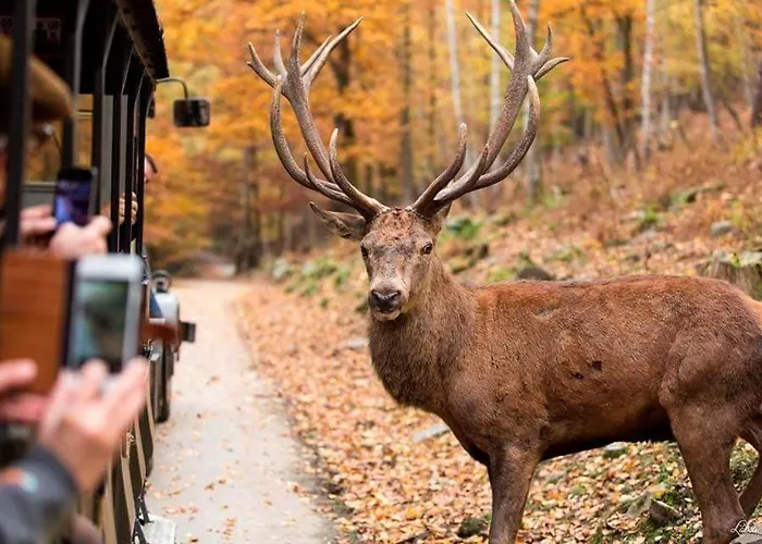 Hotel Au Sommet De La Cascade