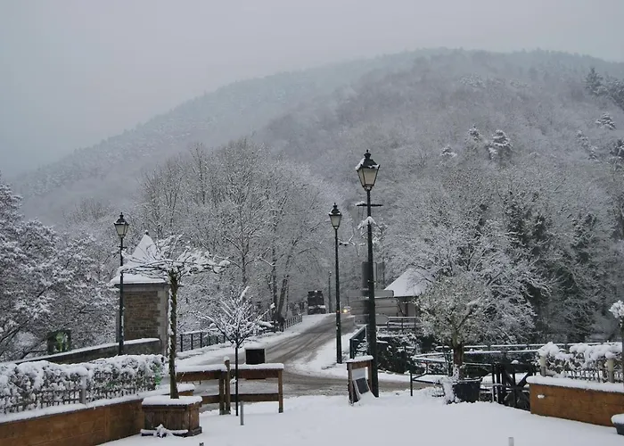 Au Sommet De La Cascade Francorchamps